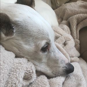 Meet your Posher, Brandi